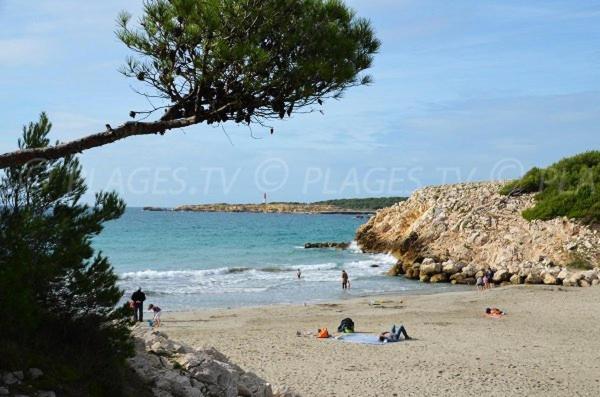 Sous Le Soleil Des Alpilles Apartman Mouries Kültér fotó
